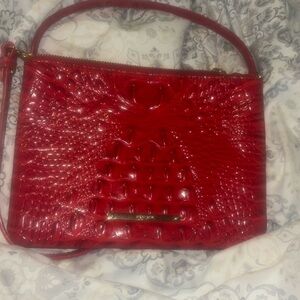 Red Brahmin(used)